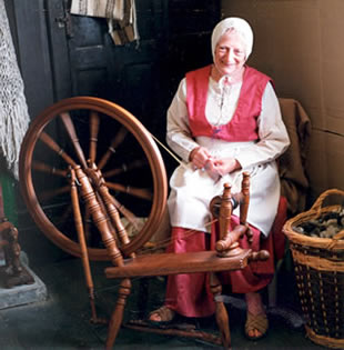 The Ladys Maid